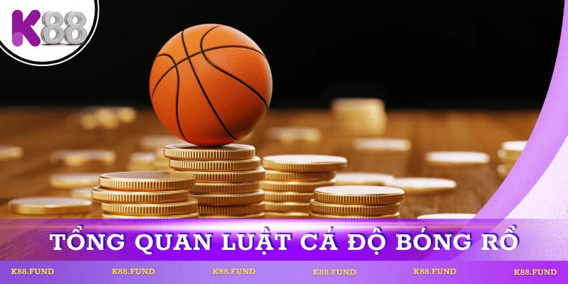 luat-ca-do-bong-ro-tong-quan